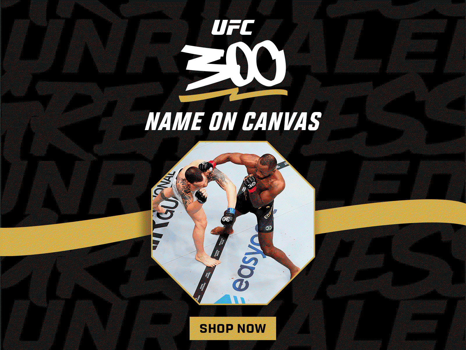 Watch as the athletes compete above your name in the Octagon at UFC 300