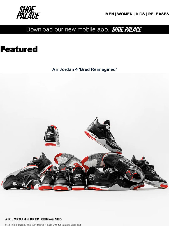 shoe palace jordan 4