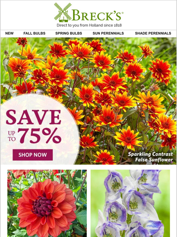 Breck's Spring Planting Sale—Up to 75 off Milled