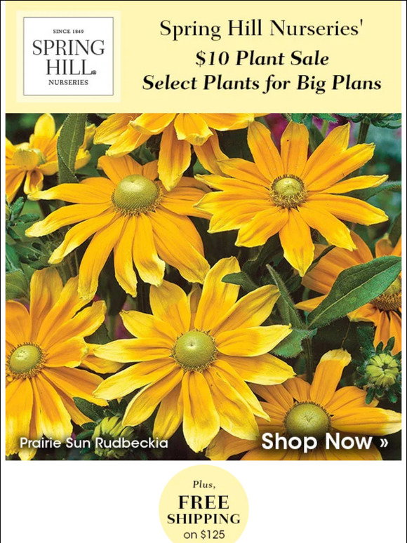 Spring Hill Nursery: $10 Plant Sale is back! | Milled