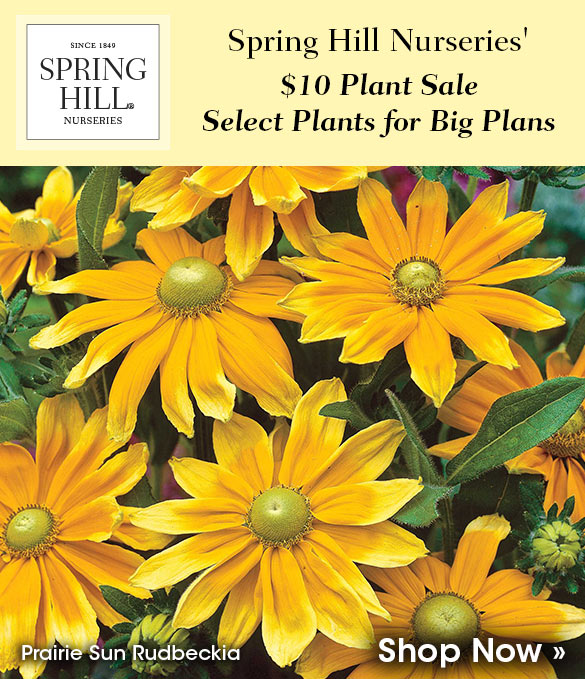  $10 Plant Sale