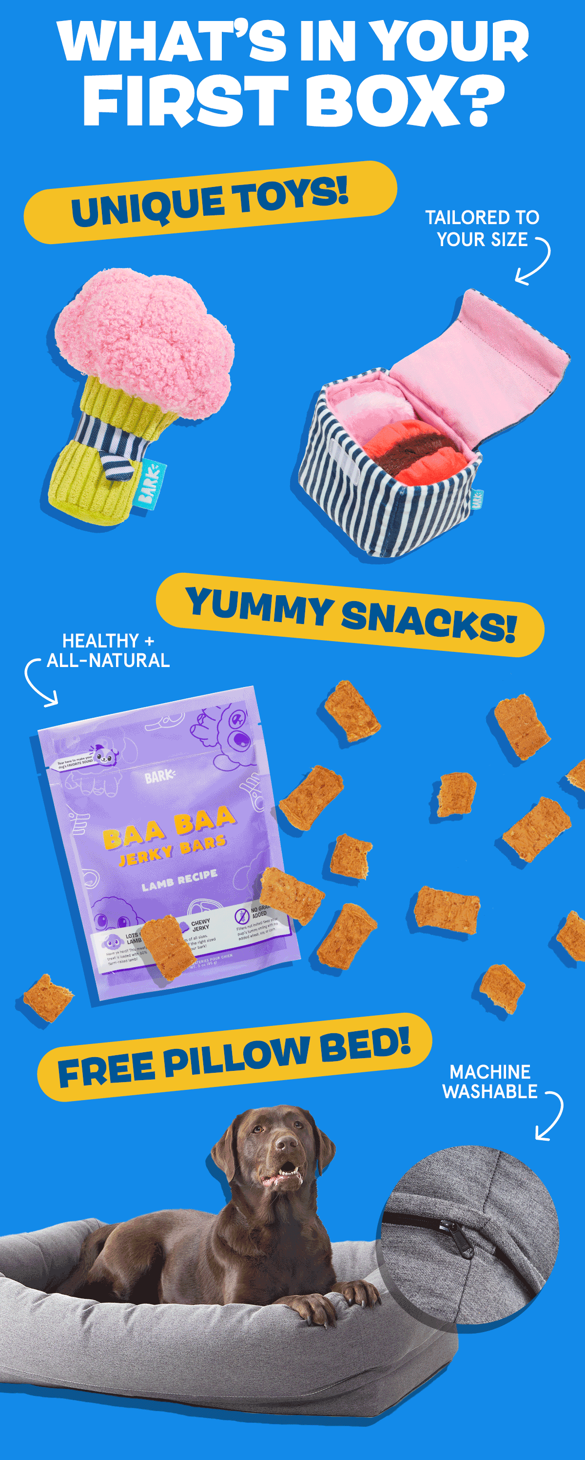 BarkBox YOU GET A BED 🐶 YOU GET A BED 🐕 YOU GET A BED 🐕‍🦺 Milled