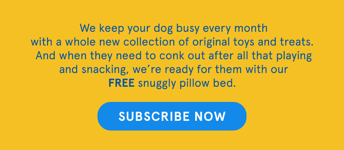Bark YOU GET A BED 🐶 YOU GET A BED 🐕 YOU GET A BED 🐕‍🦺 Milled