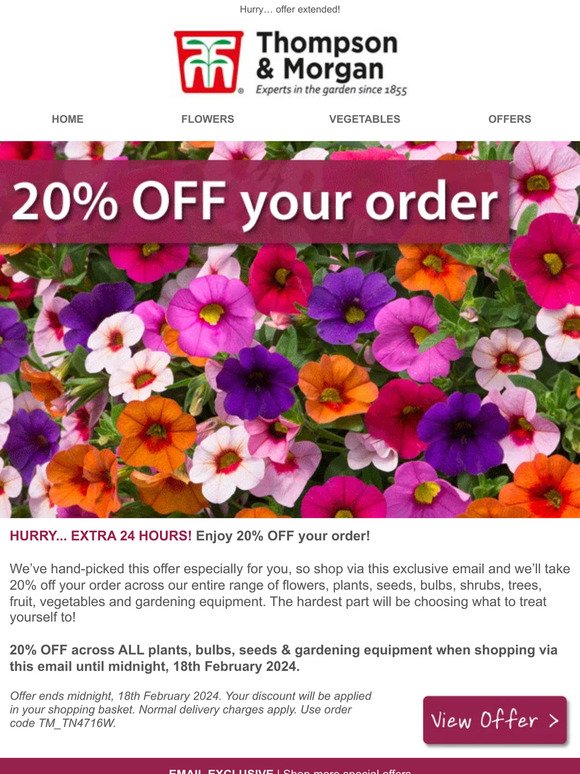 Our Gift to You - 20% OFF EVERYTHING - EXTRA 24 HOURS!