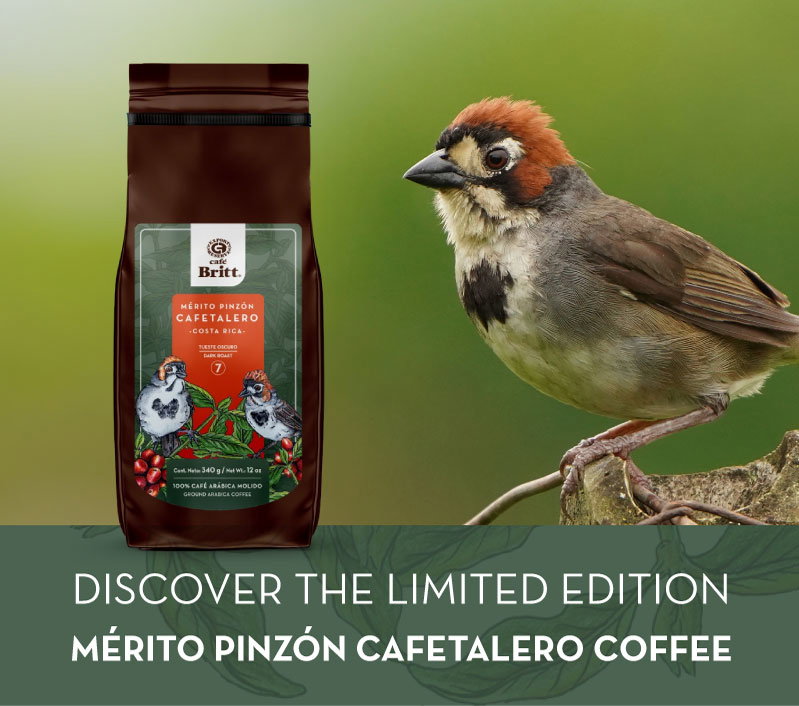 Cafe Britt: Straight from Costa Rica: Introducing Mérito Pinzón ...