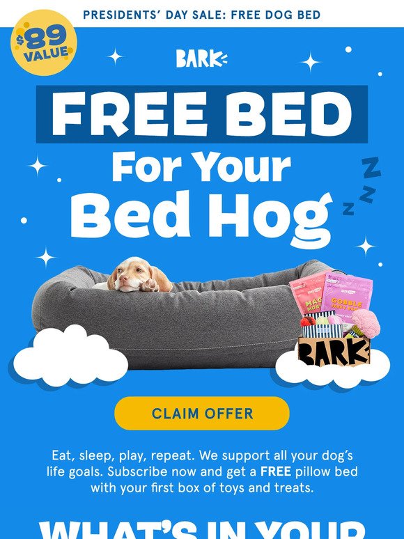 YOU GET A BED 🐶 YOU GET A BED 🐕 YOU GET A BED 🐕‍🦺