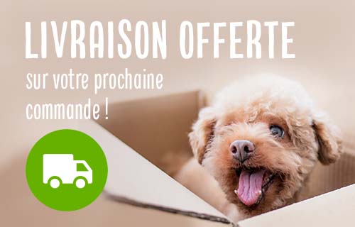 La livraison est offerte en ce moment