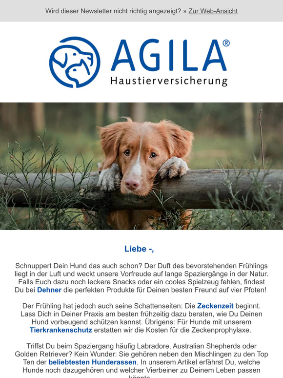 ➝ Kennst Du die beliebtesten Hunderassen?🐕