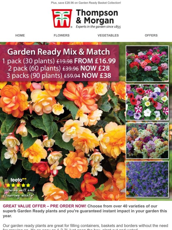 Garden ready plants from only 40p each!