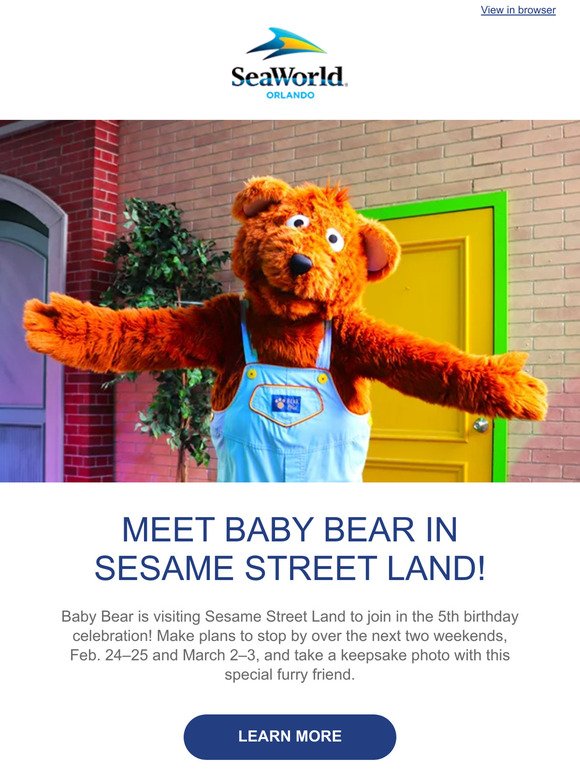 Meet Baby Bear in Sesame Street Land!