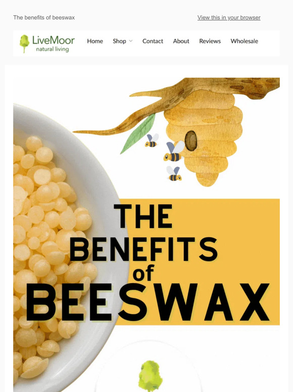 Psst…Do You Know These Beeswax Facts? 🐝