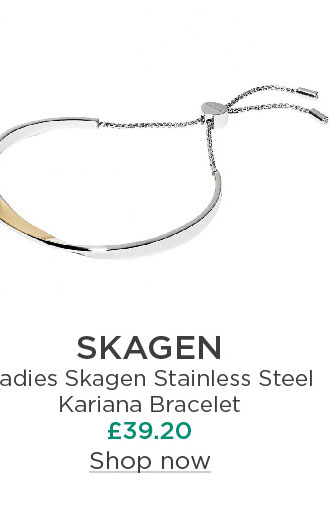 Ladies Skagen Stainless Steel Kariana