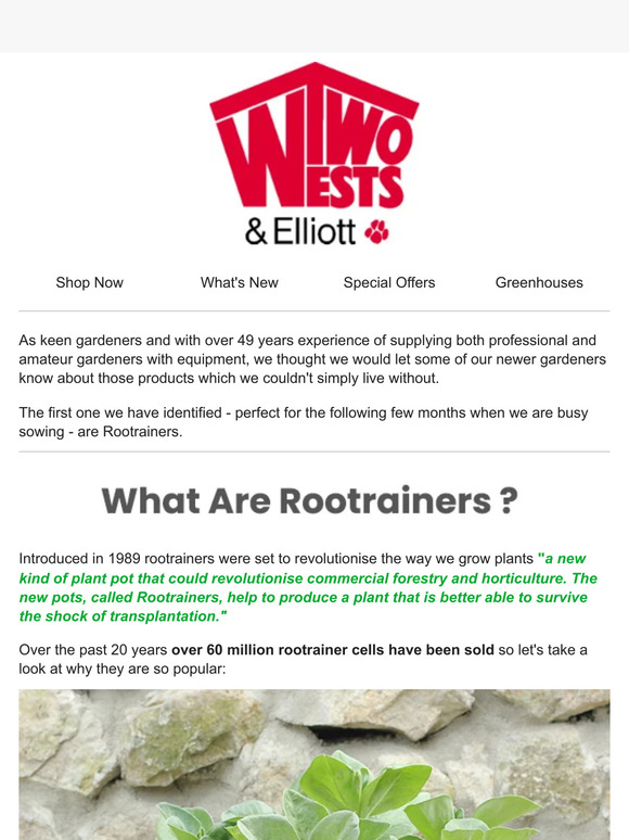 Rootrainers - Everyone's Favourite This February