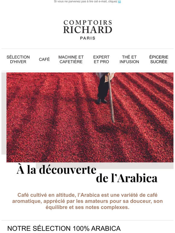 Partez à la découverte de l'Arabica 🌱