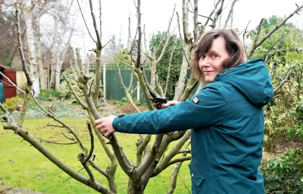 Jardinage: que faire et ne pas faire dans son jardin en février?