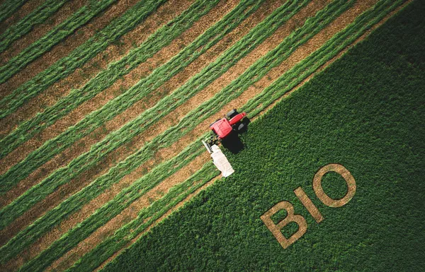 Cultures et productions, sociologie des agriculteurs, régions les plus bio... Les clés de l'agriculture bio