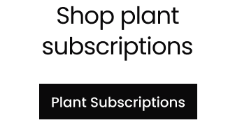 Plant Subscriptions