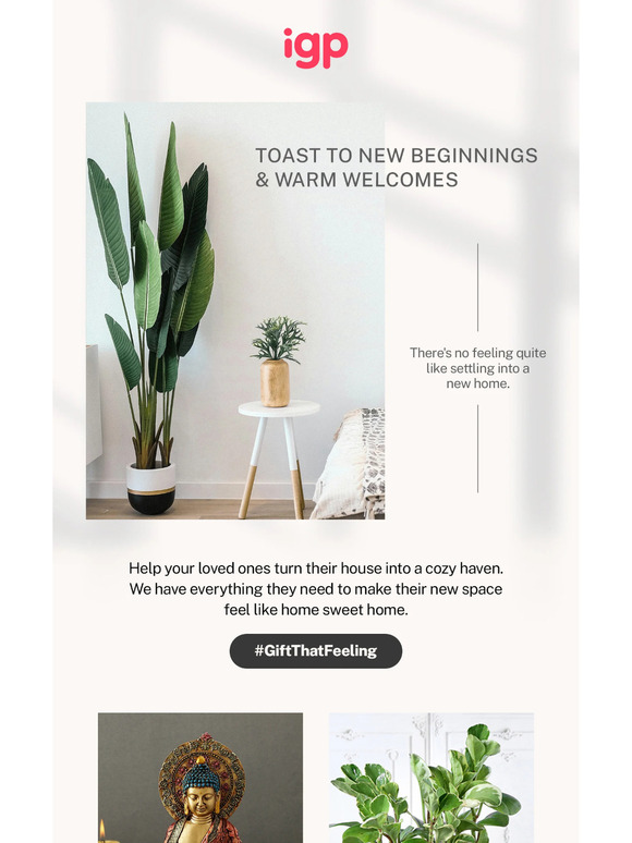 IGP Gifts Send Flowers, Cakes to India, Buy Unique gifts Online