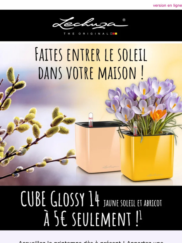 ☀️ Des couleurs ensoleillées pour 5€ seulement !