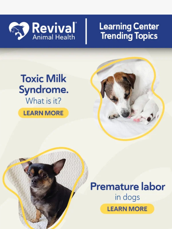 Revival Animal Health Can puppies get sick from mother’s milk? Milled