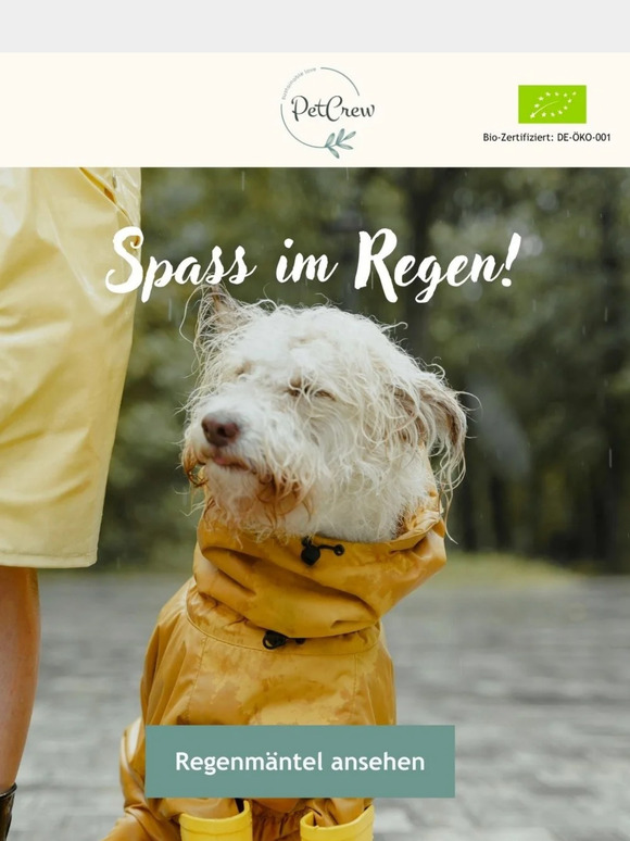 Gut vorbereitet durch den Regen 🐕 ☔