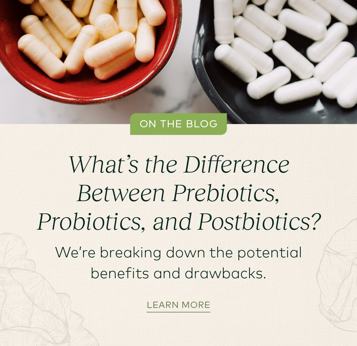 Gaia Herbs Pros And Cons Of Probiotics Prebiotics And Postbiotics