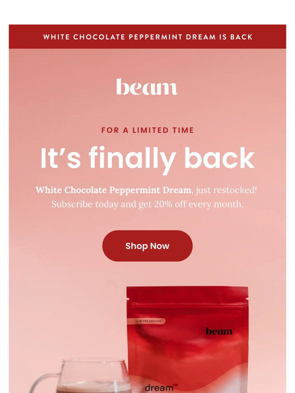 Beams Short - Chocolate main image 1