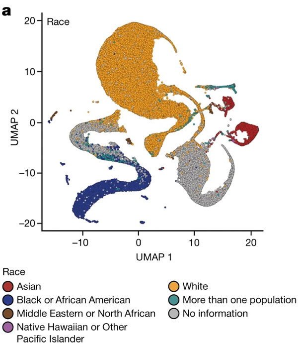 An excerpt from a figure in a <i>Nature </i>paper that some geneticists say could be misinterpreted to reinforce racist beliefs.