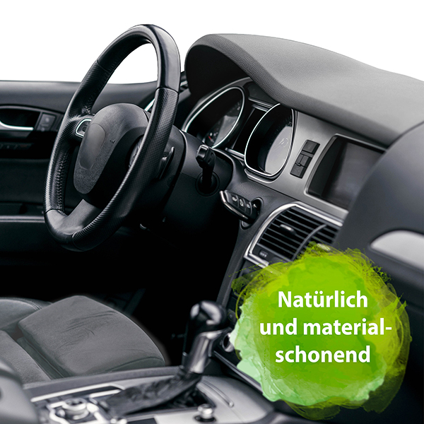 Auto Innenraum Reiniger Spray