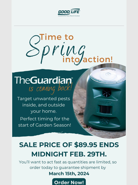 ⏰ LAST CHANCE to Save BIG - Order Now! 📢