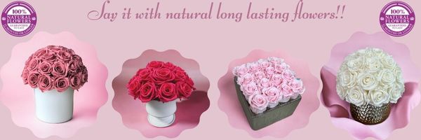 https://www.bloomsbyheinau.com/enjoy-all.html