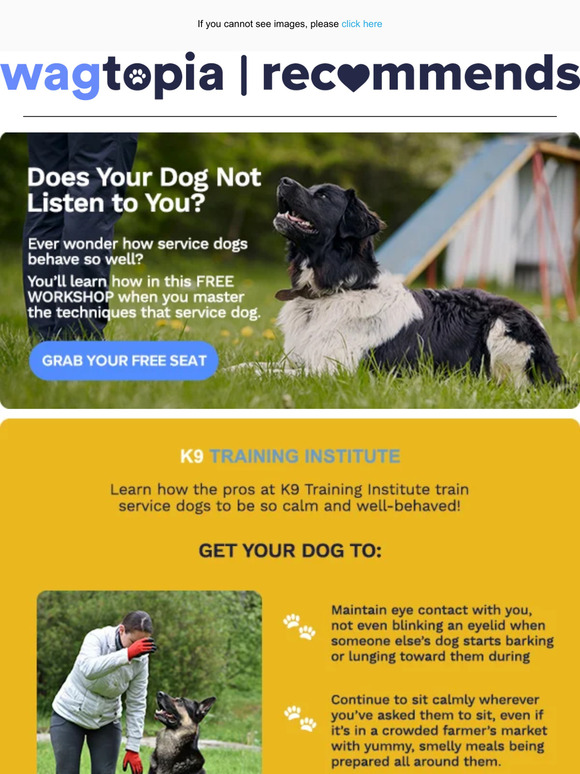 Leap Into Your Free Dog Training Workshop