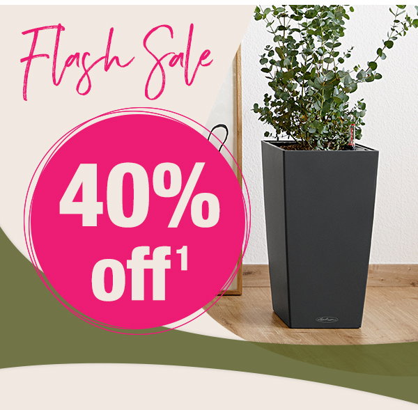 01.03. - 31.03.24 / FLASH SALE - Save 40% on all available LECHUZA products now!