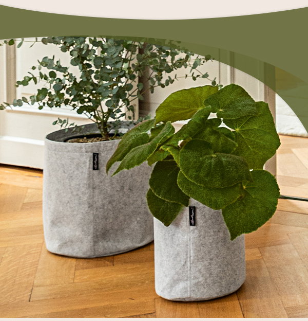 01.03. - 31.03.24 / FLASH SALE - Save 40% on all available LECHUZA products now!