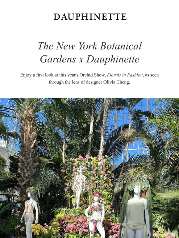 Dauphinette x The New York Botanical Gardens Orchid Show