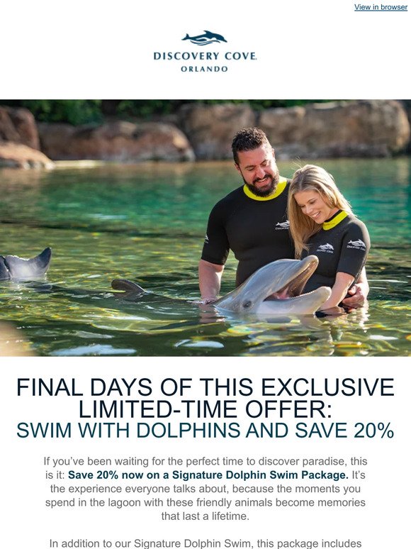 FINAL DAYS - Book Today: Save 20% Now on a Signature Dolphin Swim Package