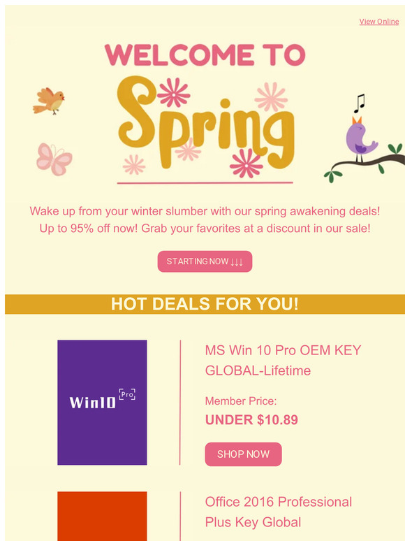 🌞Rise and Shine, Sunshine: Spring Savings Inside!