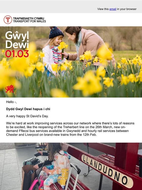 Happy St David's Day