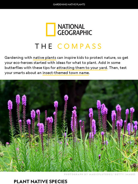Grow native plants with kids, launch seed bombs, and a quiz about a buggy town