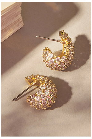 Shop the Earrings