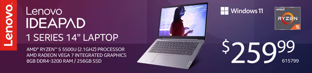 Lenovo IdeaPad 1 14 in. Laptop