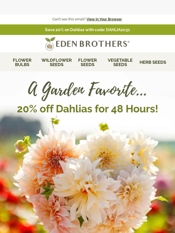 Eden Brothers Seed Company Discover Dahlias Now 20 Off! Milled