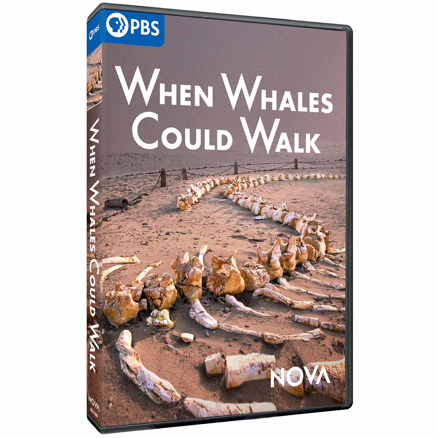 PRE-ORDER NOVA: When Whales Could Walk DVD