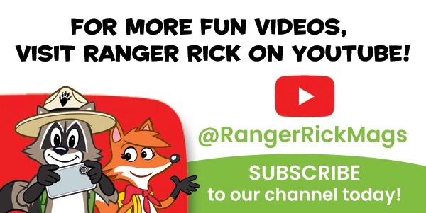 RANGER RICK DINOSAURS