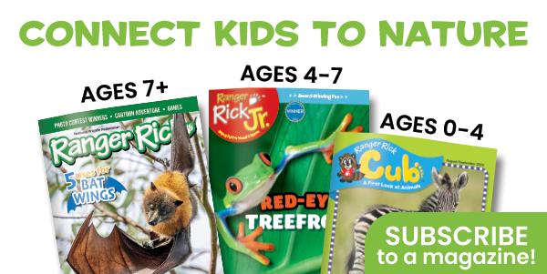 Connect Kids to Nature