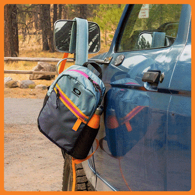 alpha mini backpack