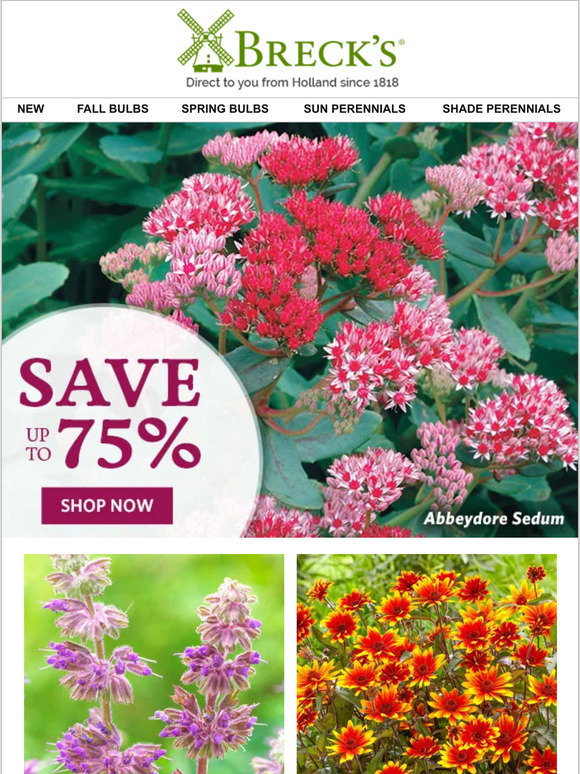 Spring Forward Breck Breck's: Spring Planting Sale: Up to 75% OFF | Milled