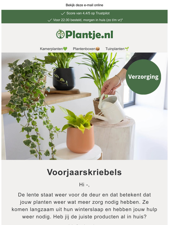 De beste verzorgingstips voor jouw plant 🪴
