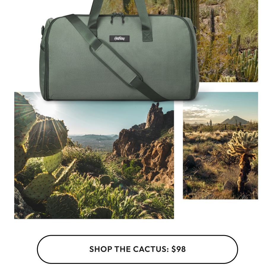 Shop the Cactus