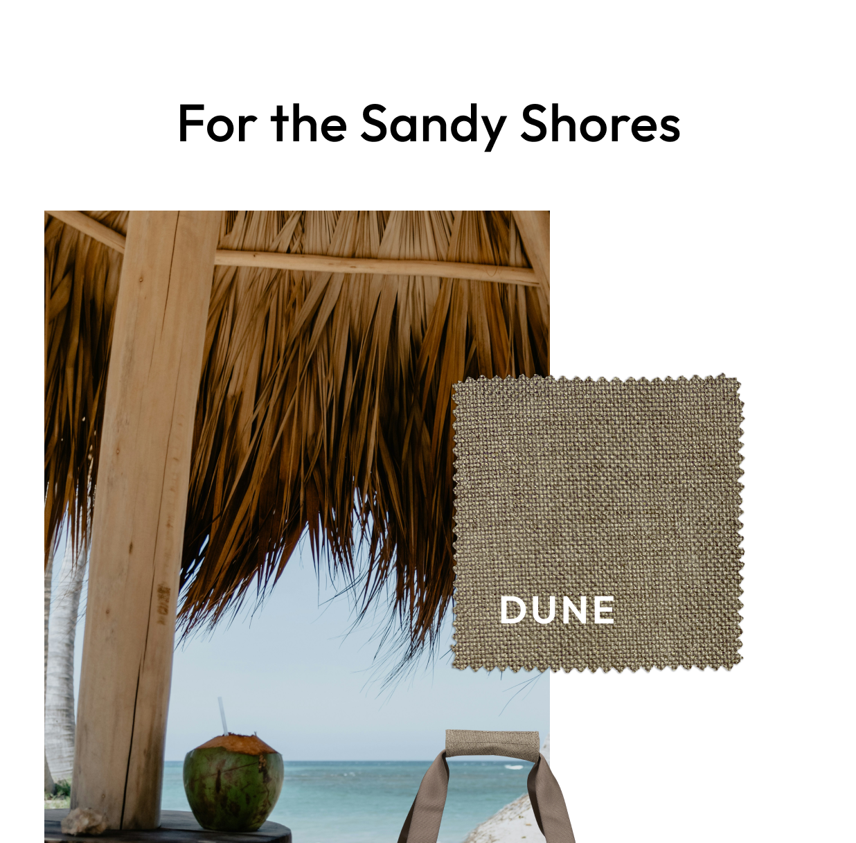 Shop the Dune
